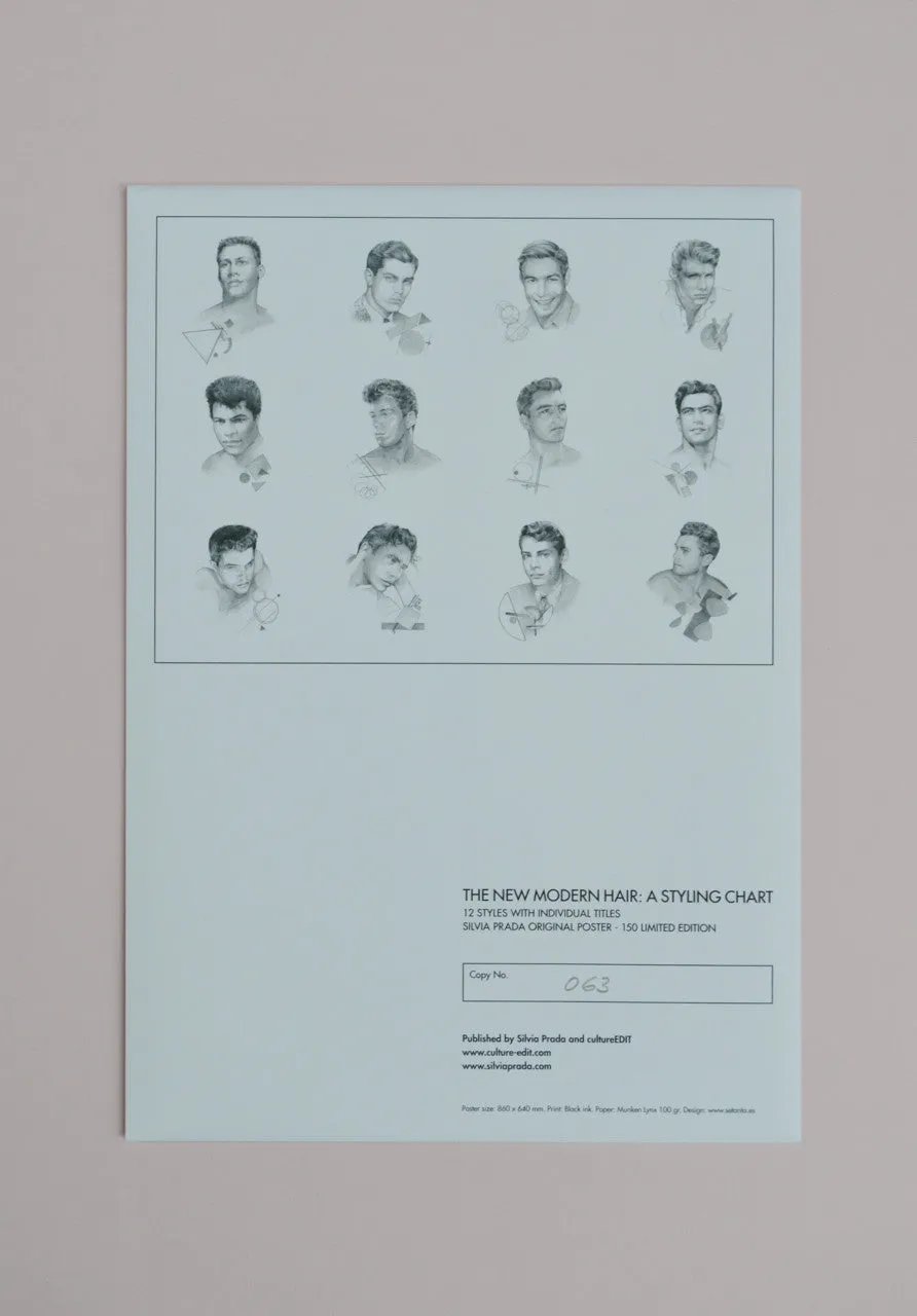 Silvia Prada, The New Modern Hair: A Styling Chart Poster